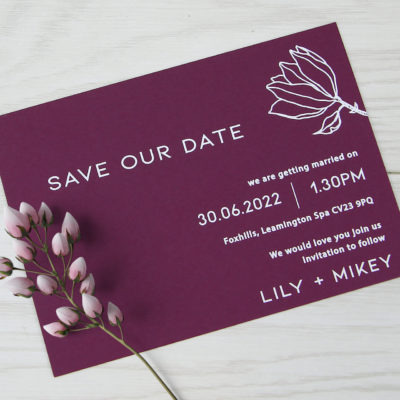 Lily Save the Date
